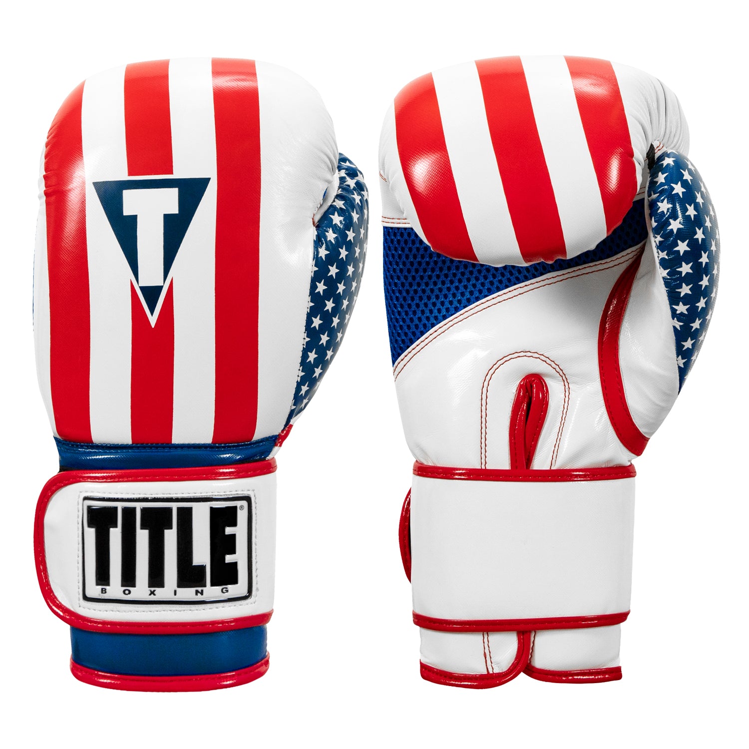TITLE Boxing Infused Foam Combat USA Training Boxing Glovesの製品画像