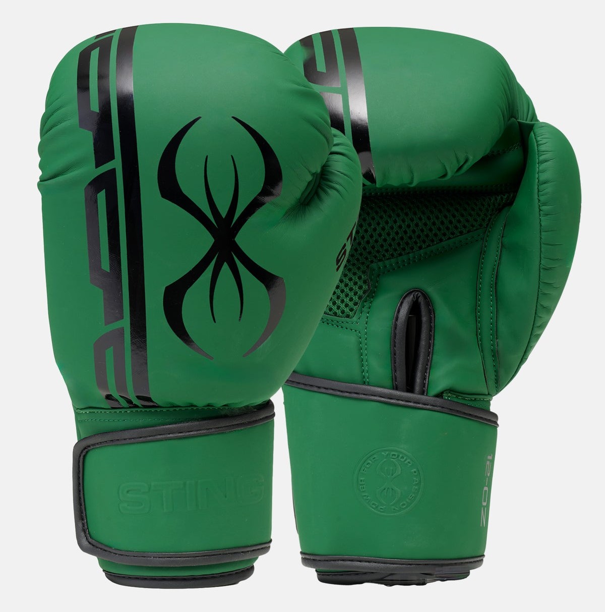 Armaplus Boxing Glovesの製品画像