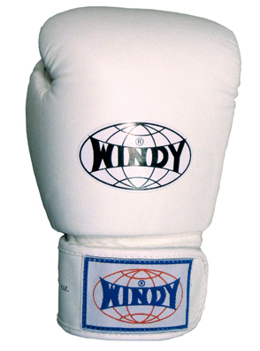 【WINDY】トレーニンググローブ BGVHの製品画像