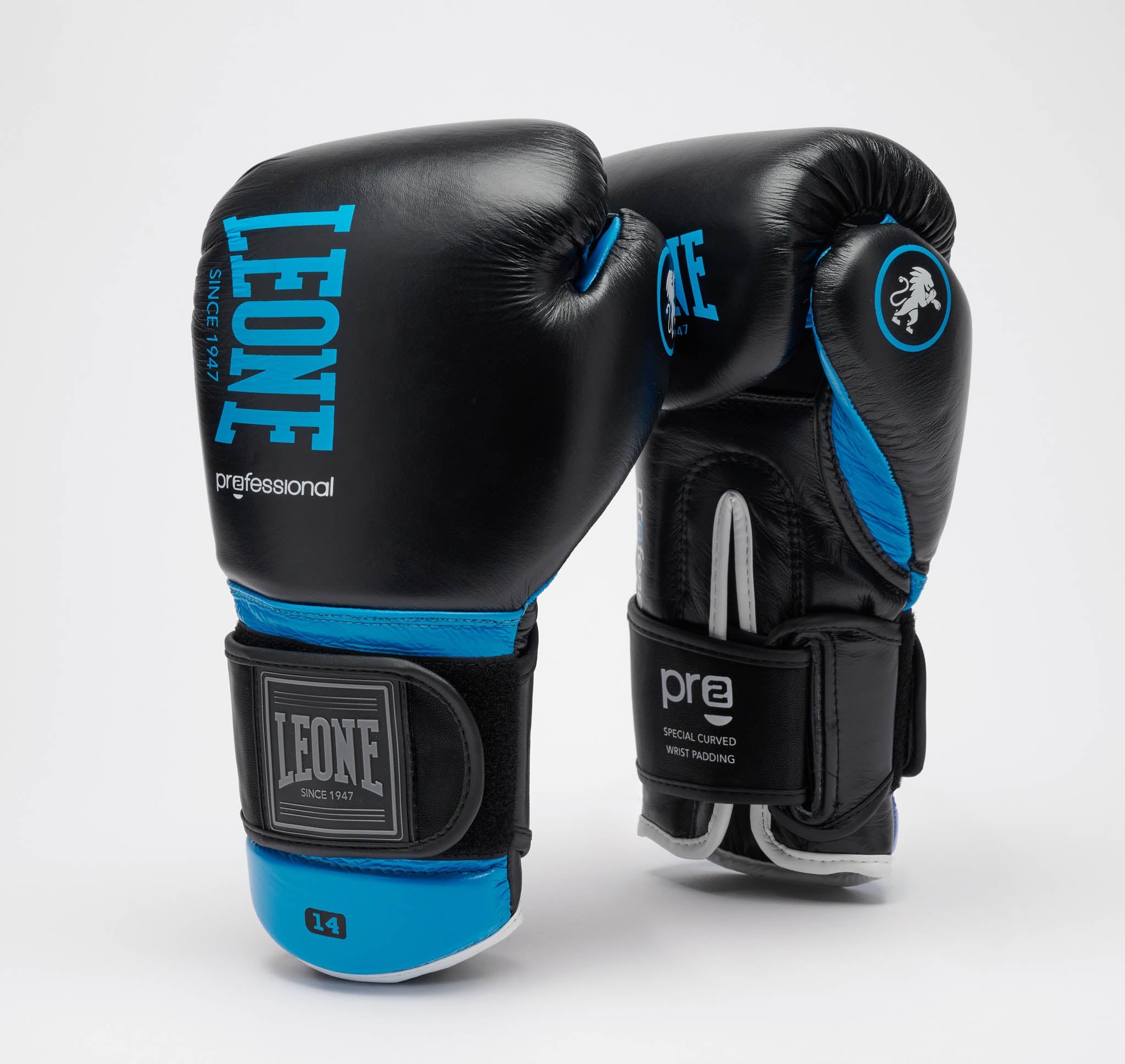 PROFESSIONAL 2の製品画像