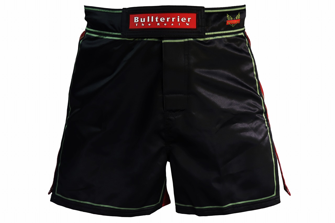 【BULL TERRIER】ファイトショーツ ショートフィット Traditional4.0の製品画像