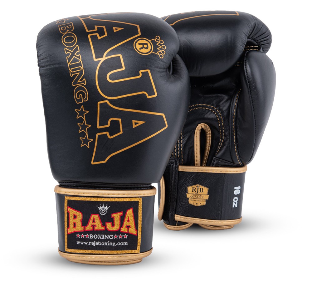 Raja Origin(RBGV-1A)の製品画像