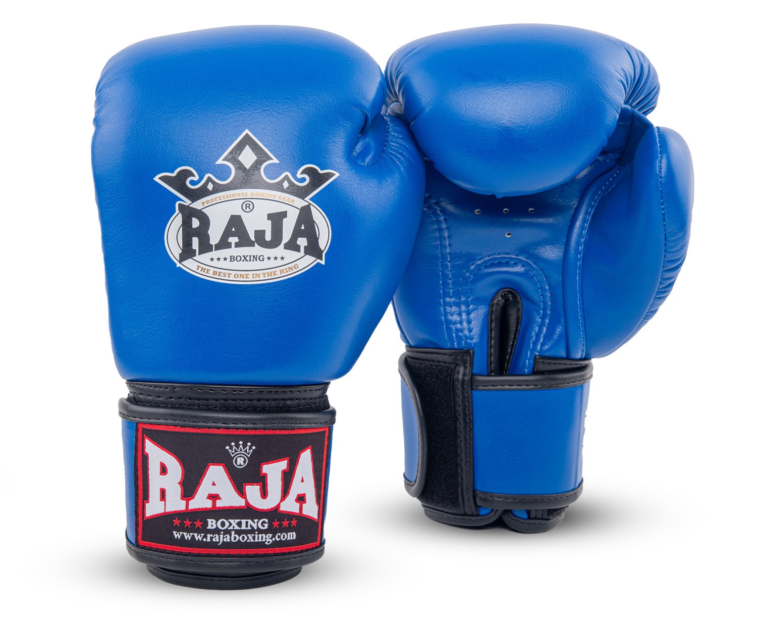 RAJA Boxing V1(RBGV-1-SM)の製品画像