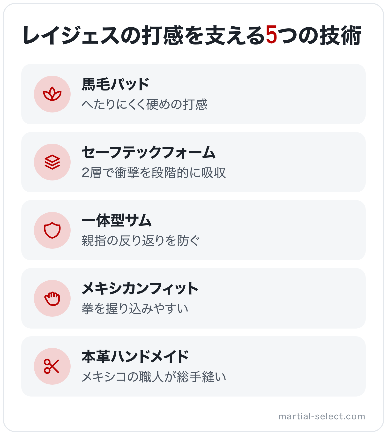 レイジェスの打感を支える5つの技術の図解: 馬毛パッド、セーフテックフォーム、一体型サム、メキシカンフィット、本革ハンドメイド